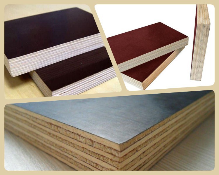 3 Colors FFP 600