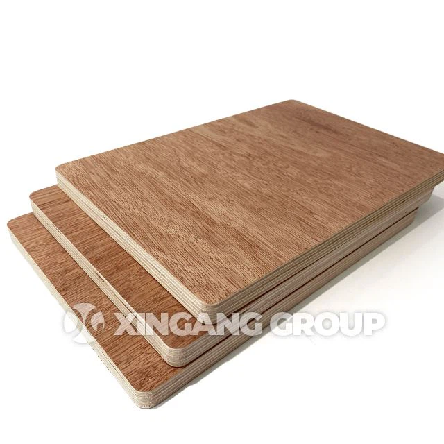 18mm Bintangor Plywood