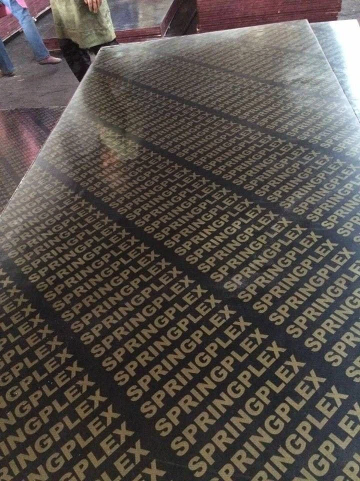 18mm Film Faced Plywood Supplier