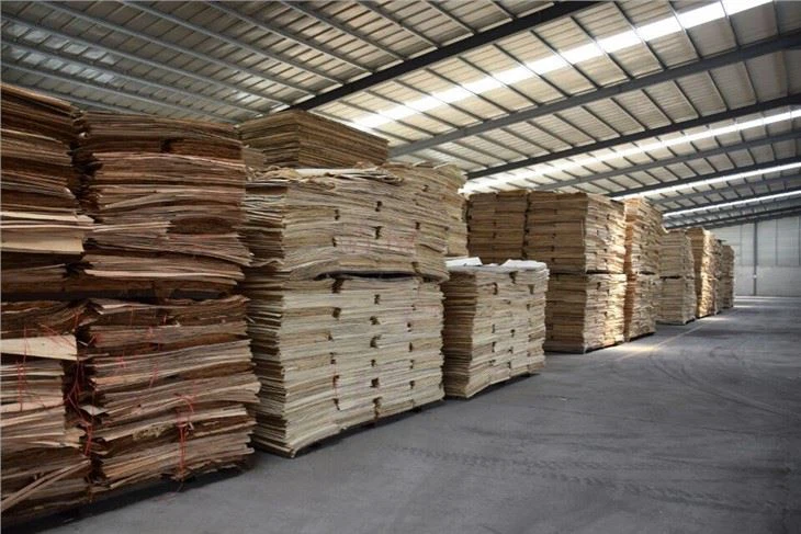 18mm Film Faced Plywood Supplier