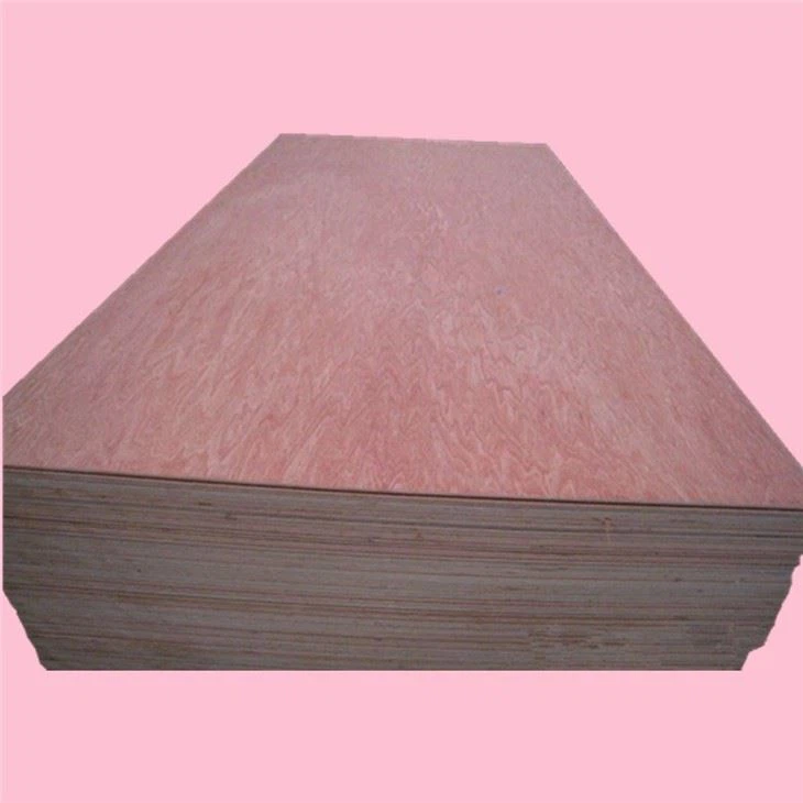 Bintangor BBCC Face Back XG Commercial Plywood