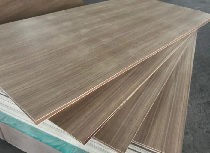 Lenha-de-plywood-de-fanc