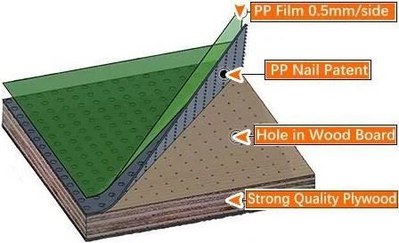 18mm Green Color Plastic Faced Plywood