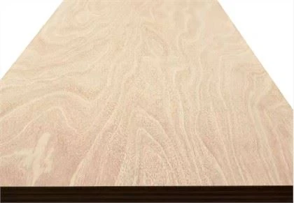 Carvalho Faia Maple Teca Folheado Mdf Fantasia
