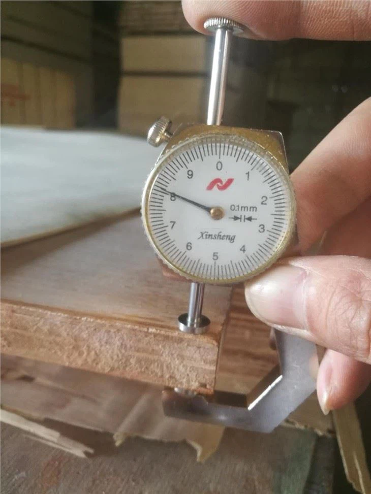 XINGANG BRAND COMMERCIAL PLYWOOD POPLAR CORE