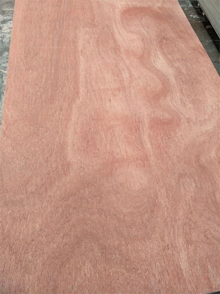 XINGANG BRAND COMMERCIAL PLYWOOD POPLAR CORE