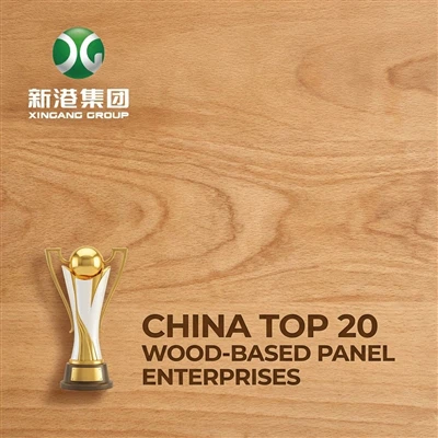 Sucesso Triunfante! Grupo Xingang ganha dois prêmios das 10 principais marcas