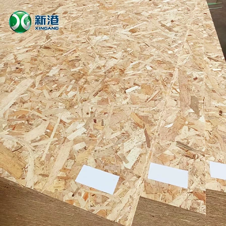 OSB20250804 best